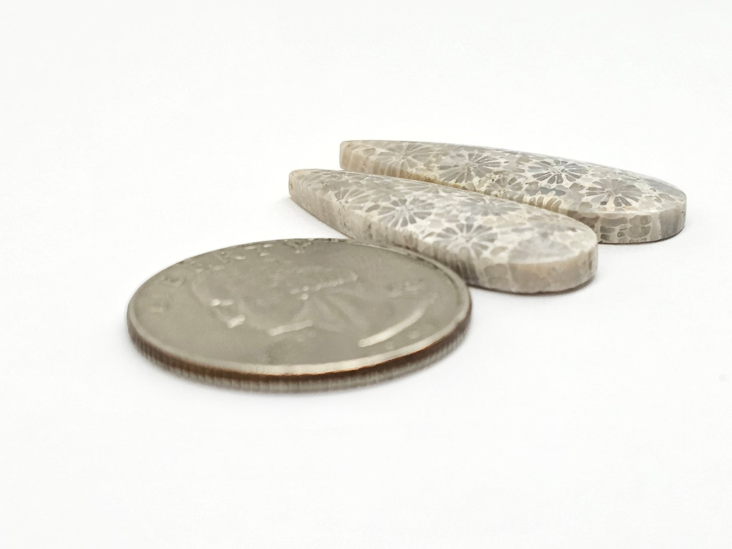 Fossilized Coral Agate Pair