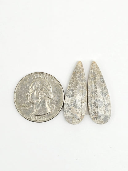 Fossilized Coral Agate Pair