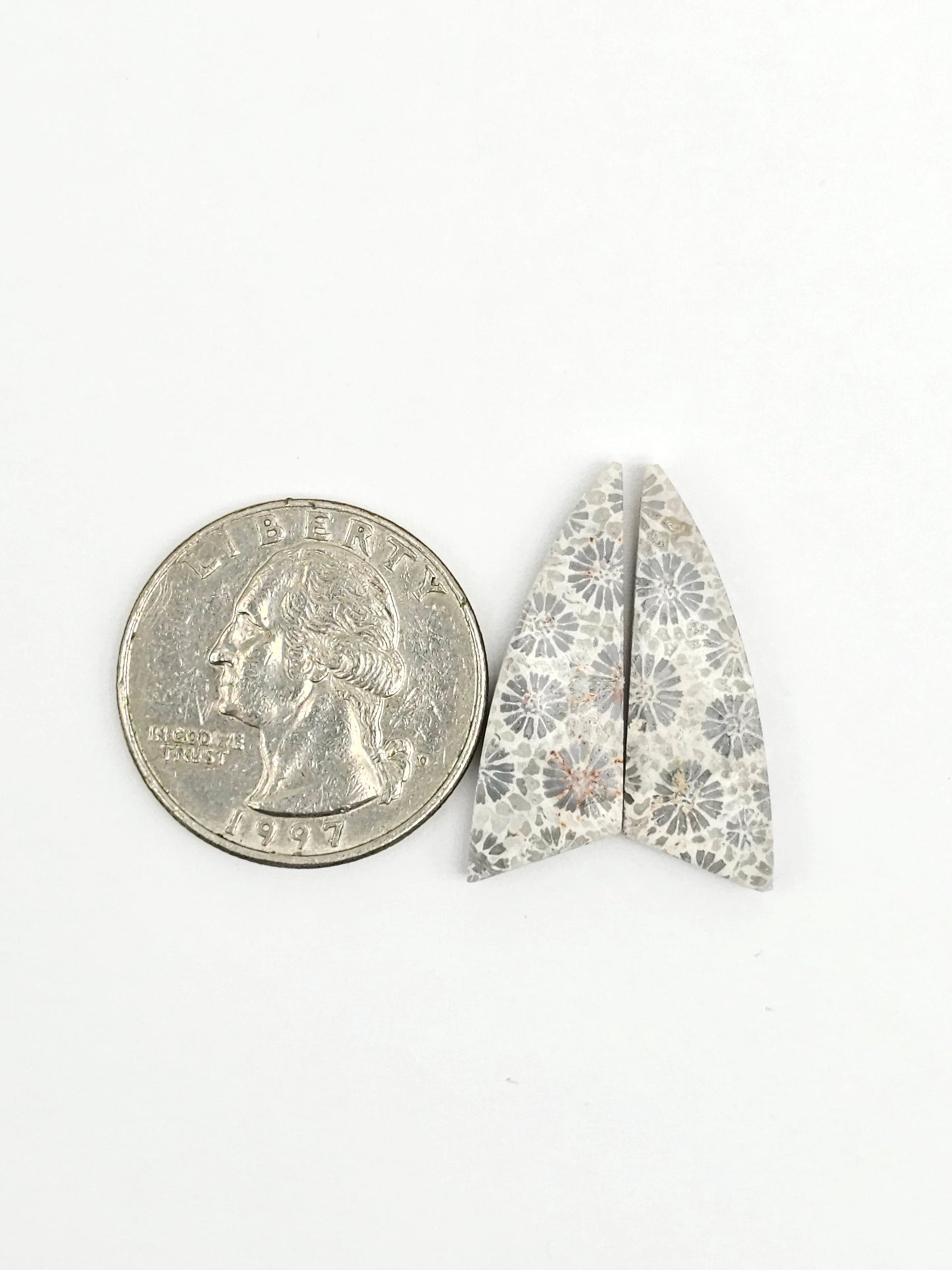 Fossilized Coral Agate Pair