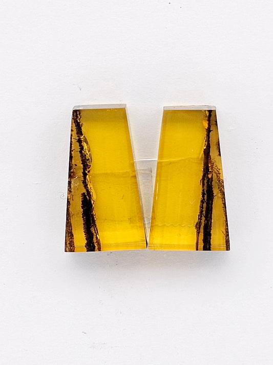 Amber authentic cabochon pair large