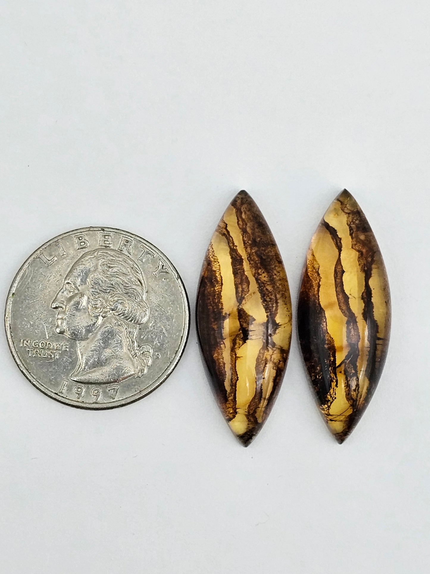 Amber authentic cabochon pair large