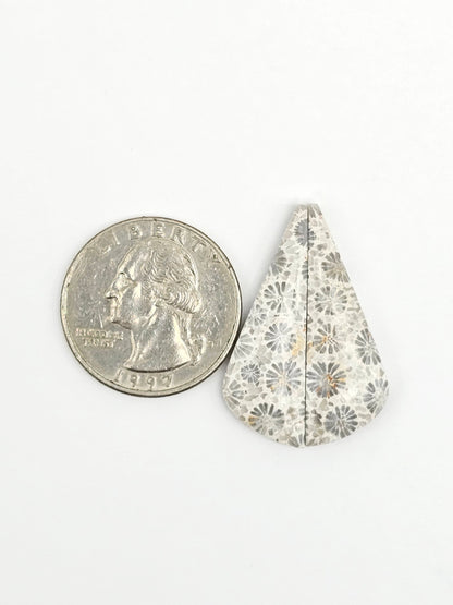 Fossilized Coral Agate Pair