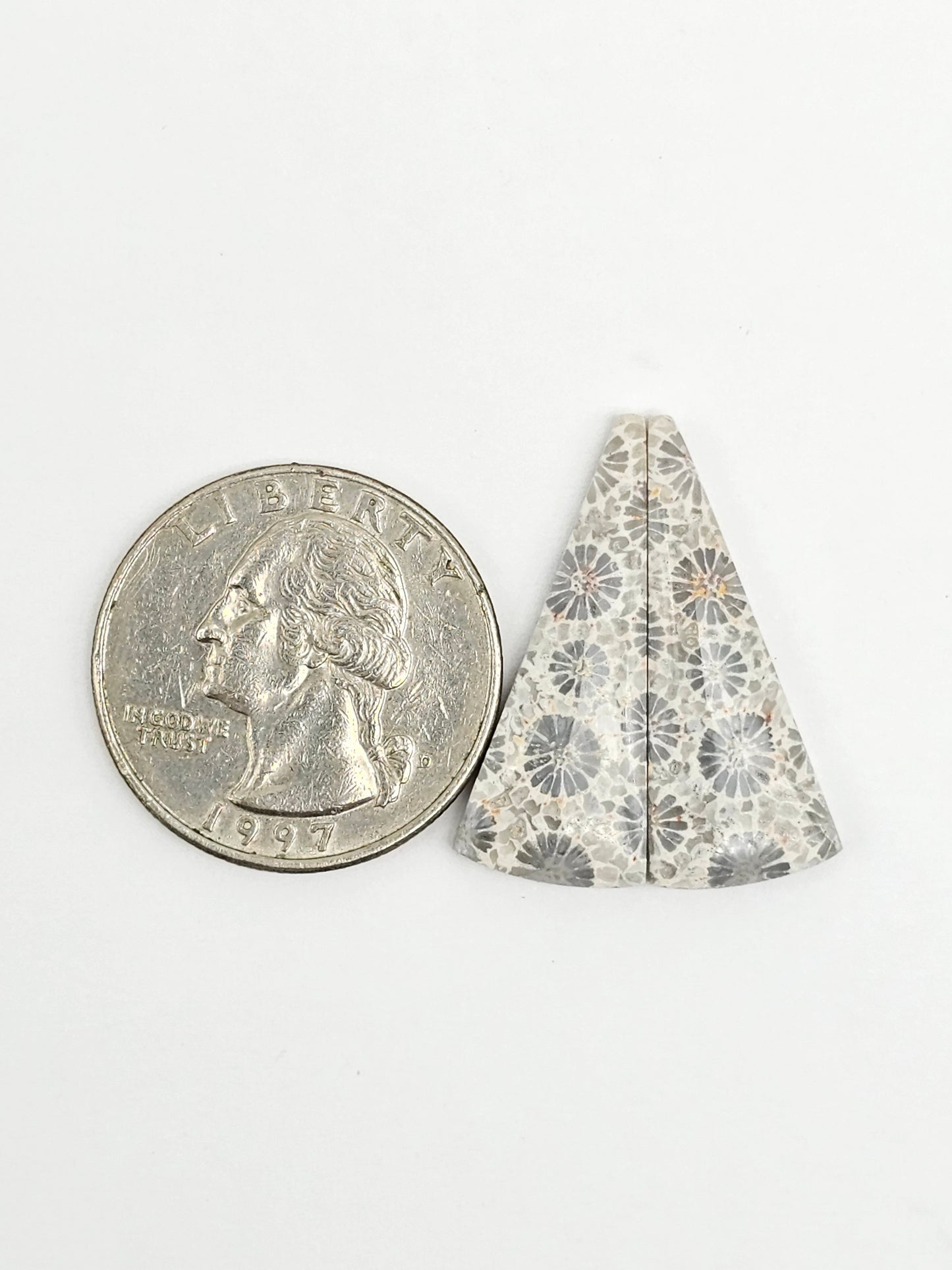 Fossilized Coral Agate Pair