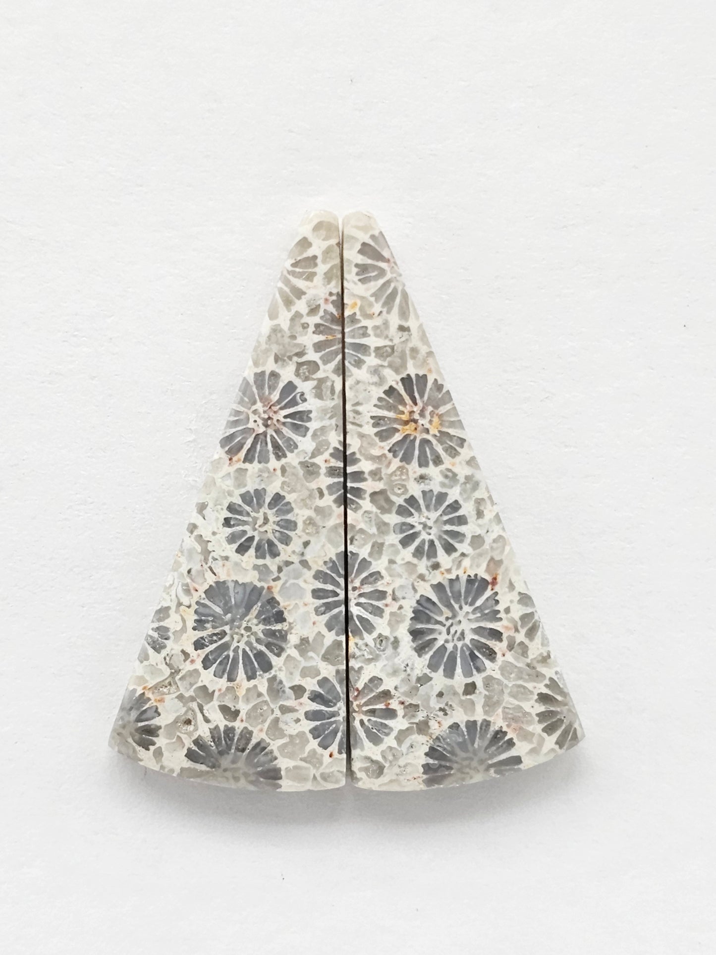 Fossilized Coral Agate Pair