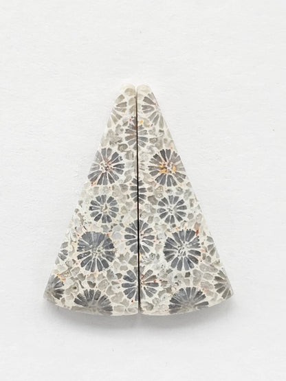 Fossilized Coral Agate Pair