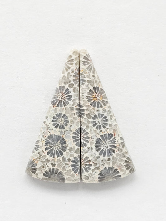 Fossilized Coral Agate Pair