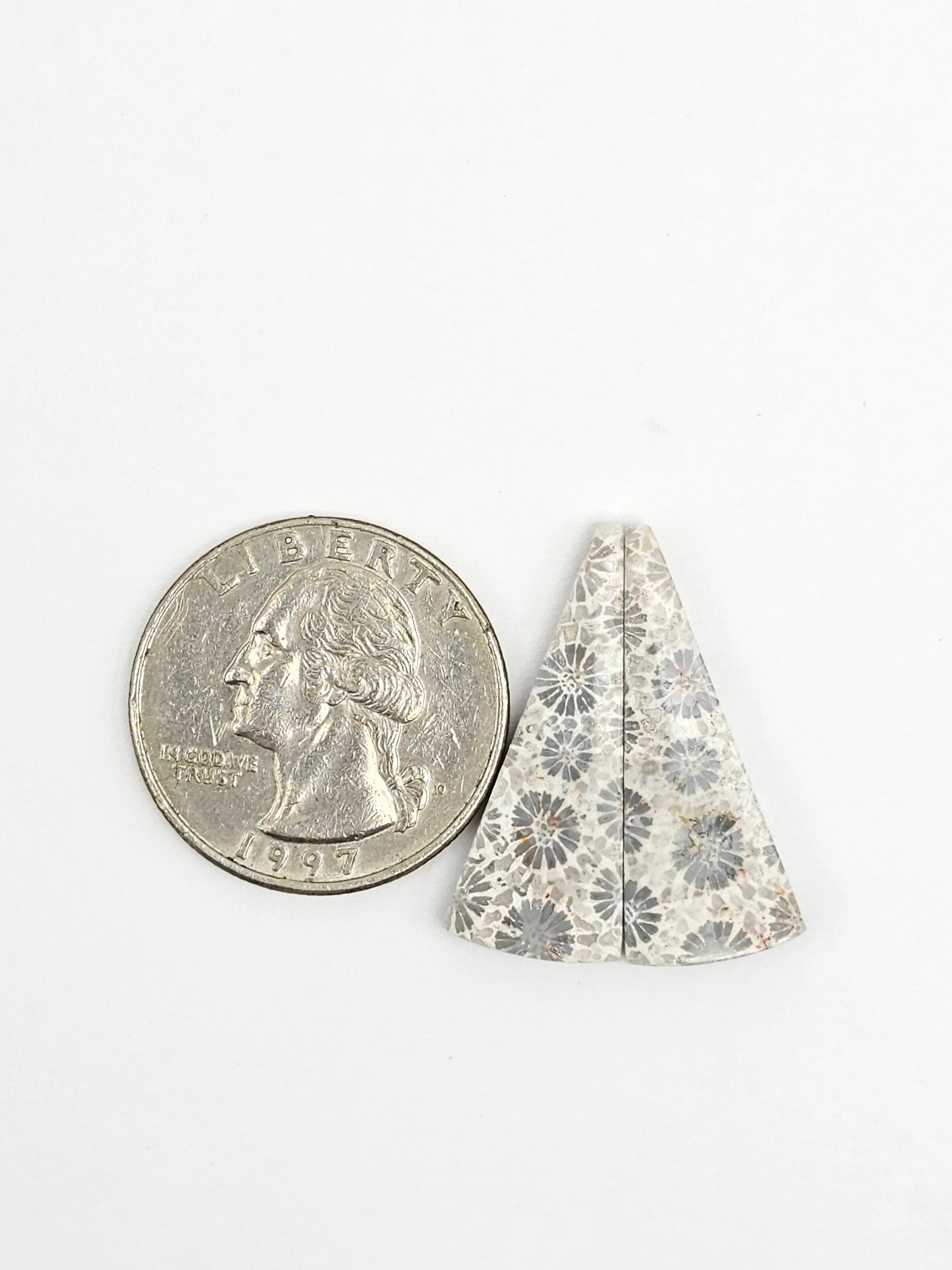 Fossilized Coral Agate Pair