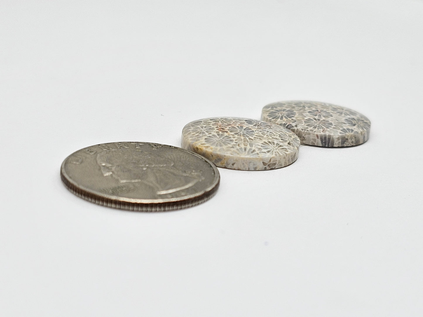 Fossilized Coral Agate Pair