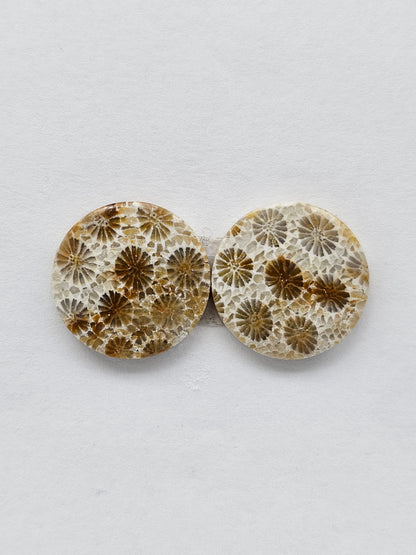 Fossilized Coral Agate Pair