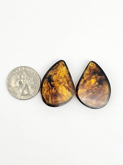 Amber authentic cabochon pair large