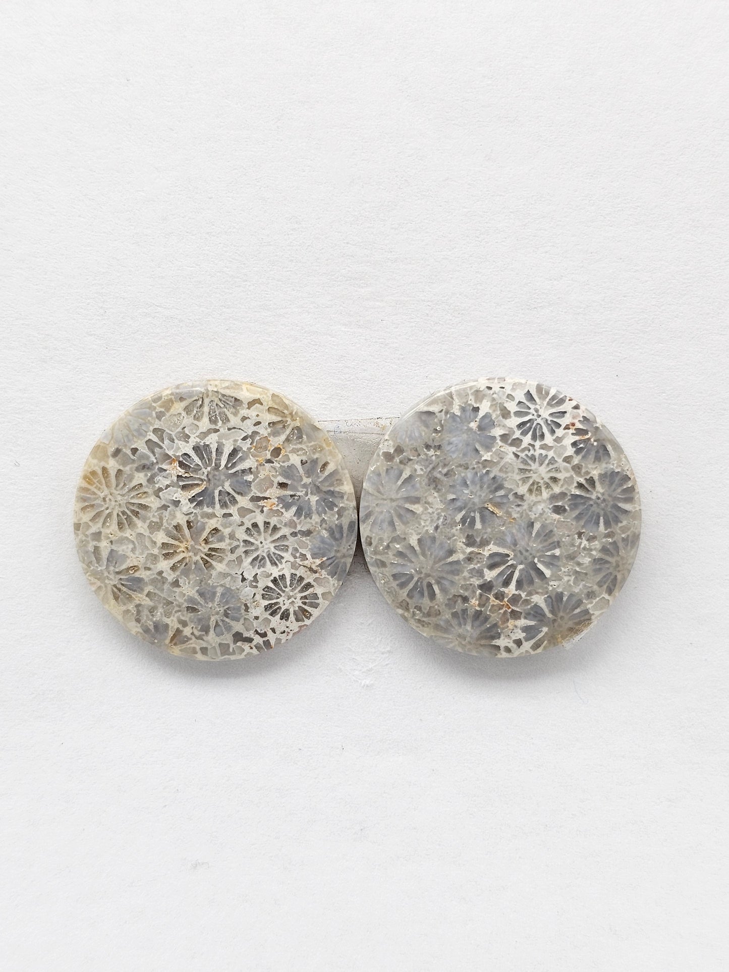 Fossilized Coral Agate Pair
