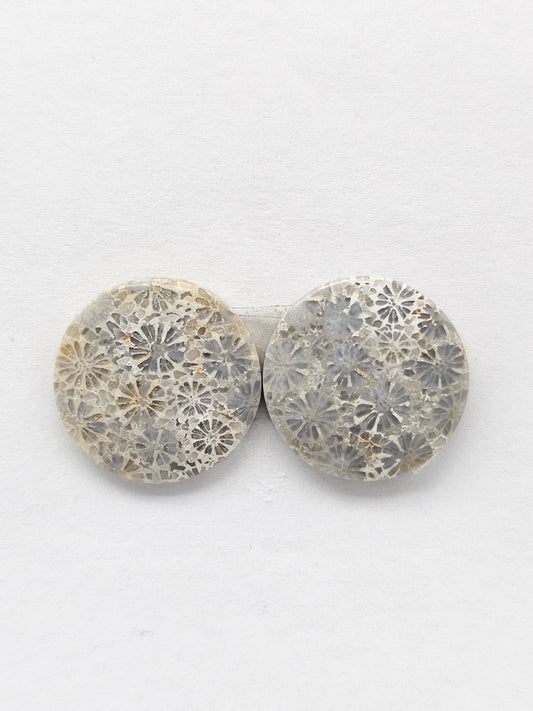 Fossilized Coral Agate Pair
