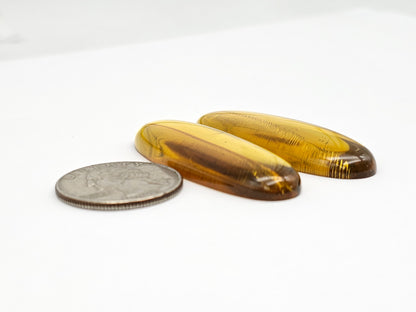 Amber authentic cabochon pair large