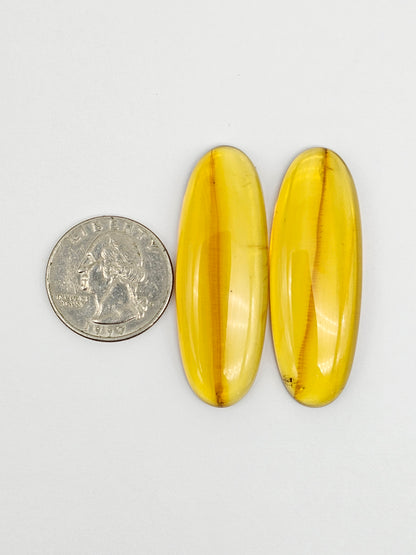 Amber authentic cabochon pair large