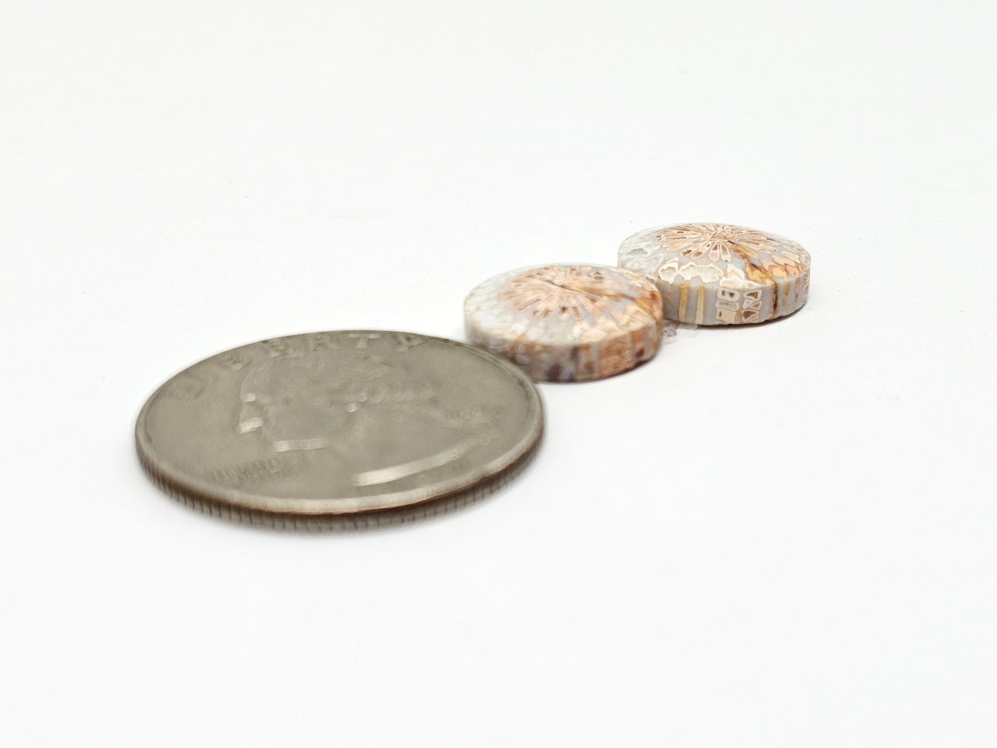 Fossilized Coral Agate Pair