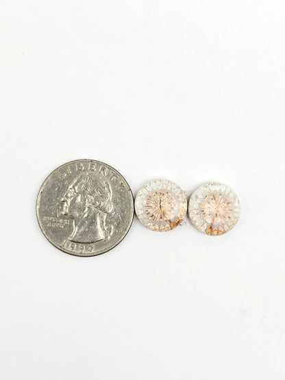 Fossilized Coral Agate Pair