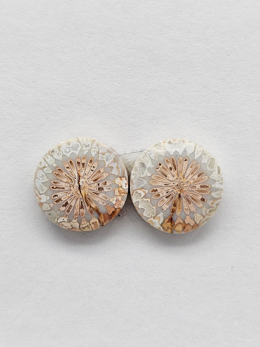 Fossilized Coral Agate Pair