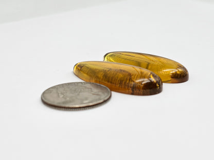 Amber authentic cabochon pair large