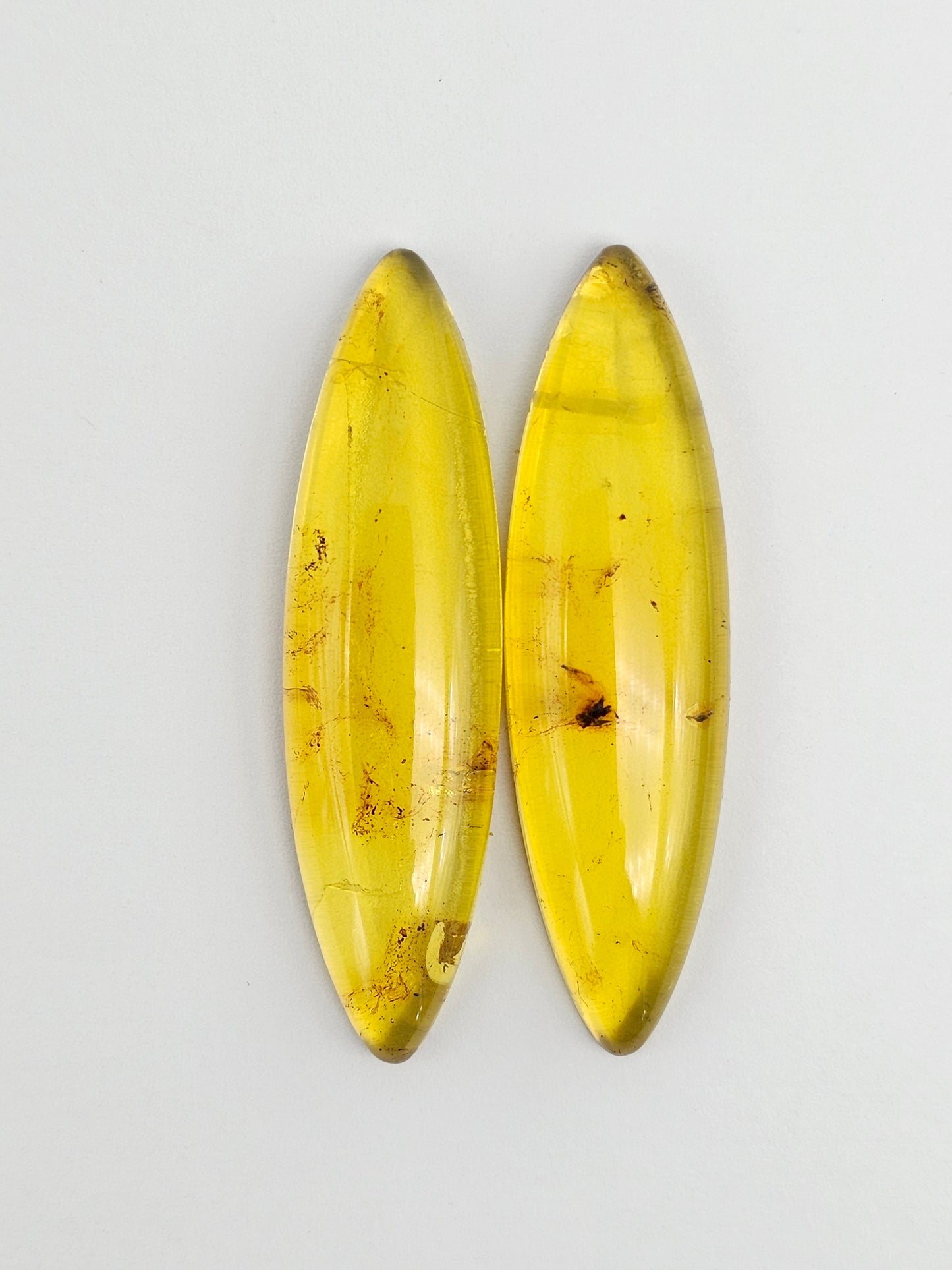 Amber authentic cabochon pair large