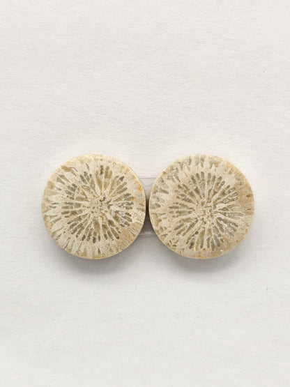 Fossilized Coral Agate Pair