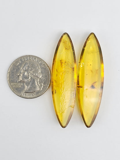 Amber authentic cabochon pair large