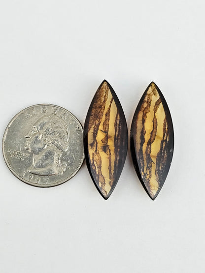 Amber authentic cabochon pair large