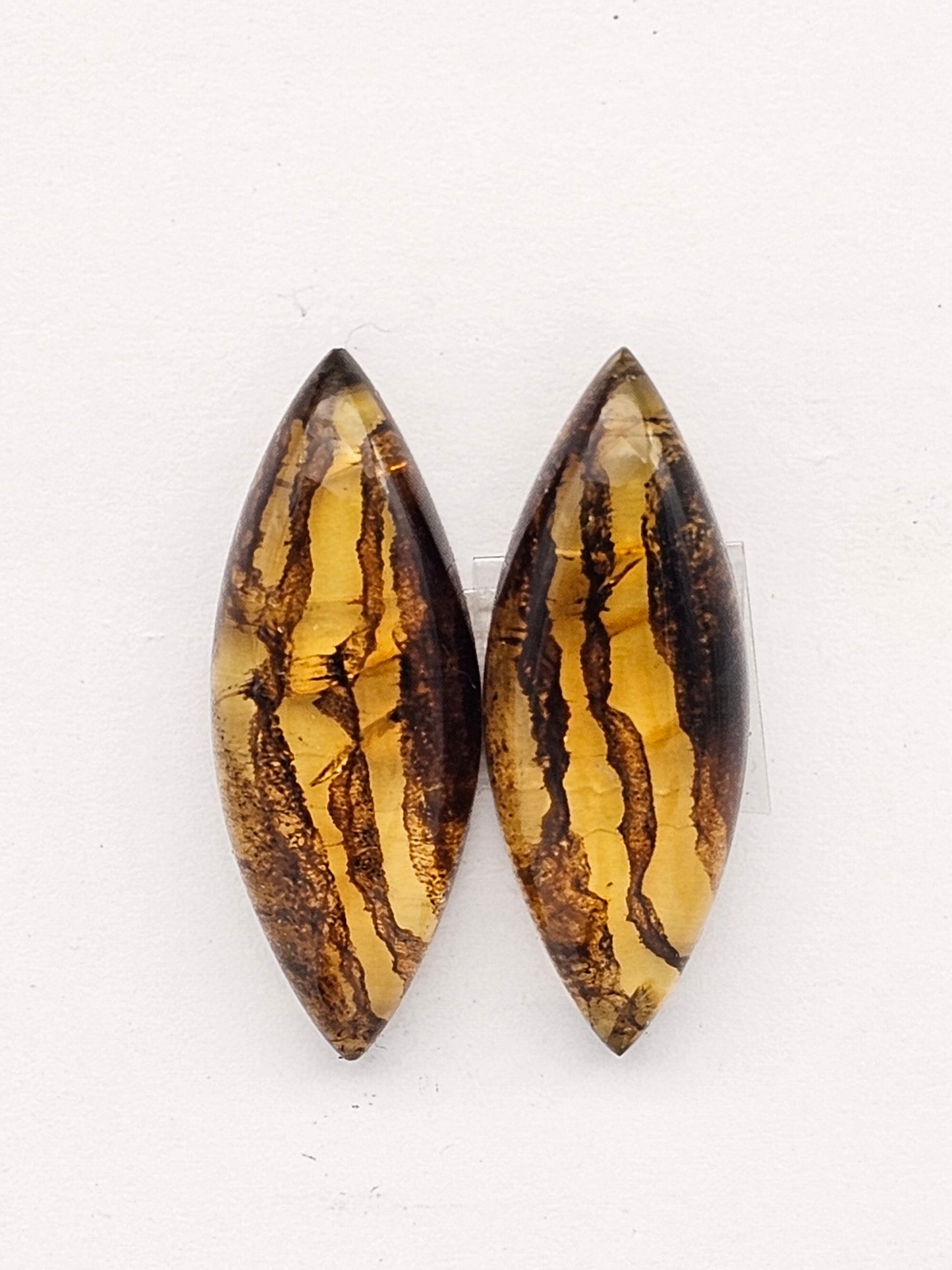 Amber authentic cabochon pair large