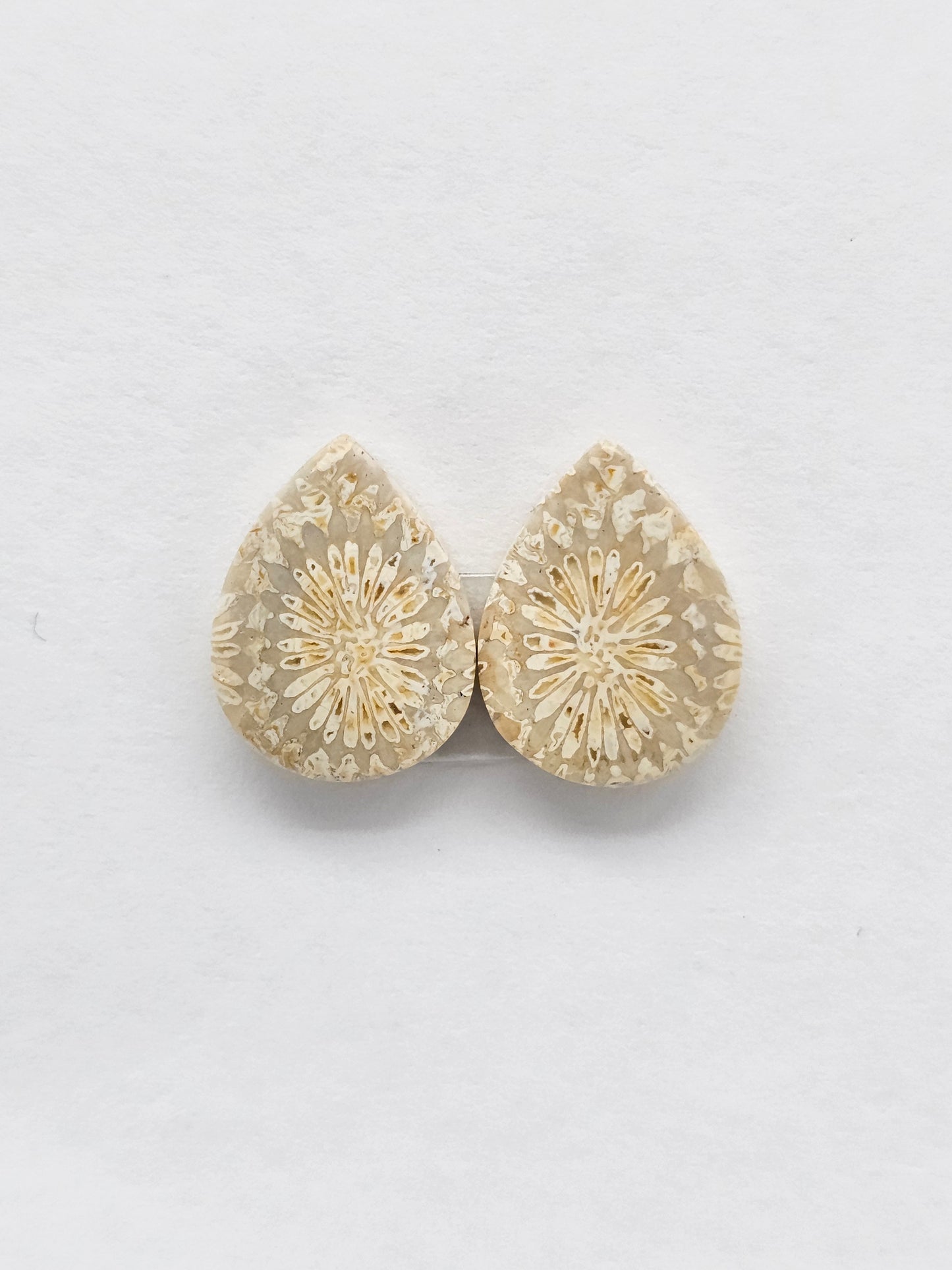 Fossilized Coral Agate Pair