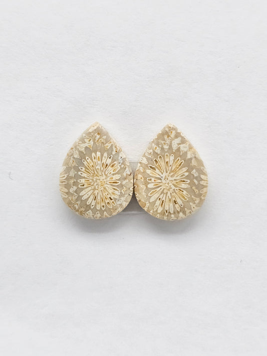 Fossilized Coral Agate Pair