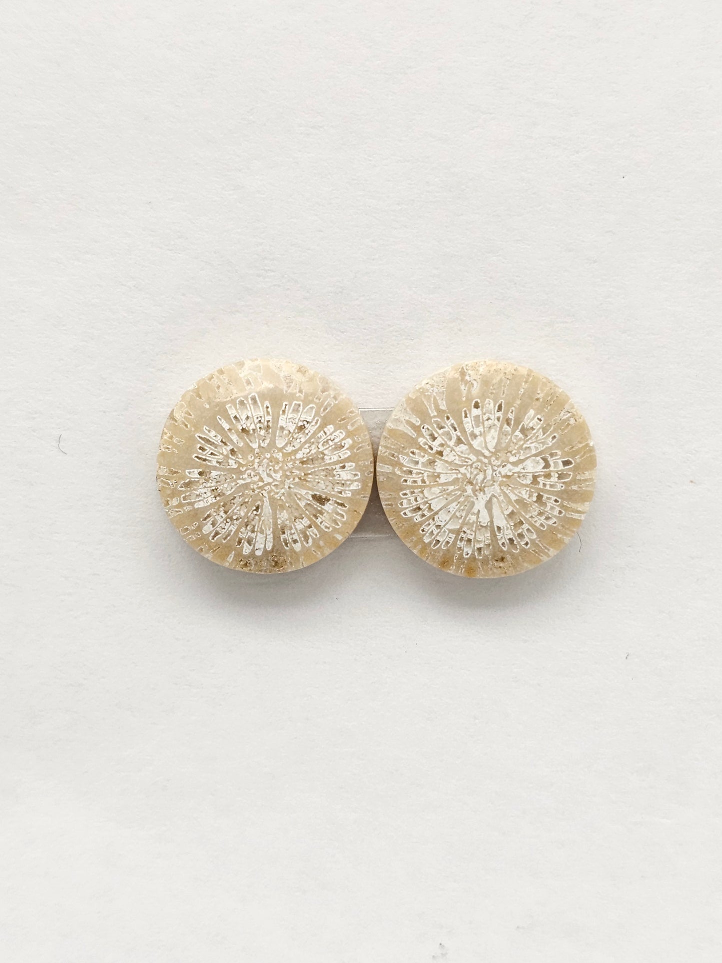 Fossilized Coral Agate Pair