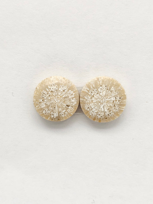 Fossilized Coral Agate Pair