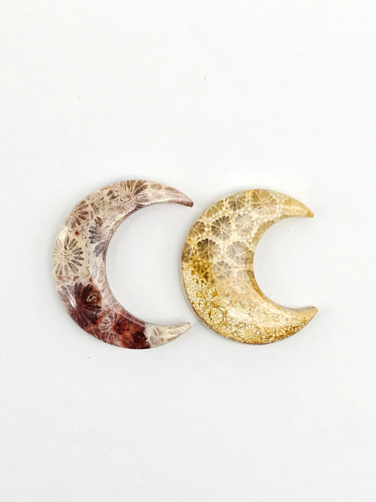 Fossilized Coral Moon Set