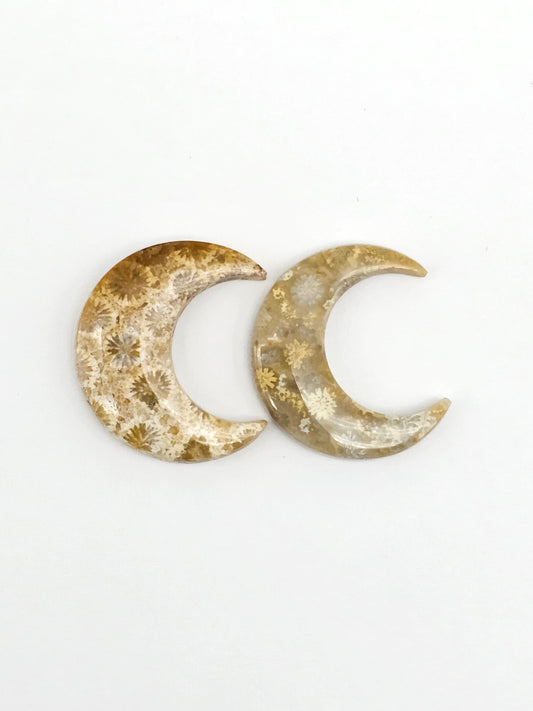 Fossilized Coral Moon Set