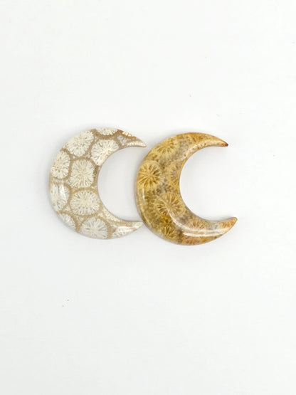 Fossilized Coral Moon Set