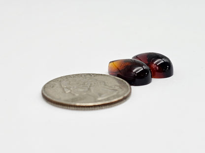 Red Amber Authentic Cabochon Pair