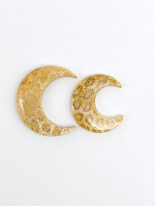 Fossilized Coral Moon Set