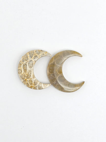 Fossilized Coral Moon Set