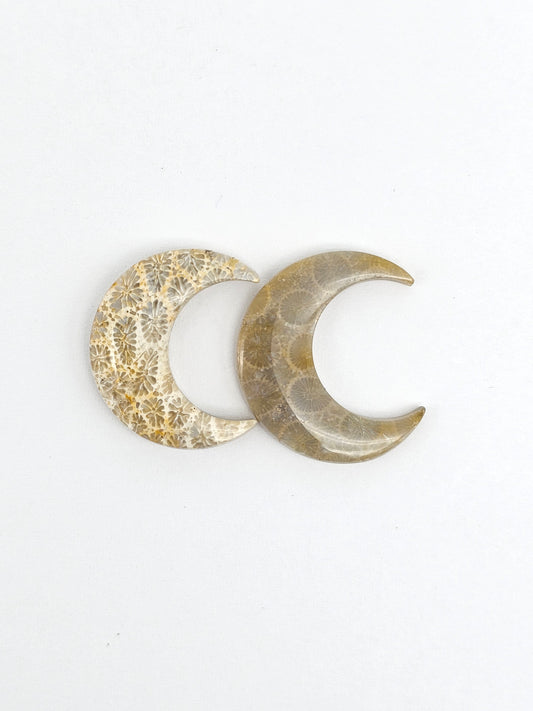 Fossilized Coral Moon Set
