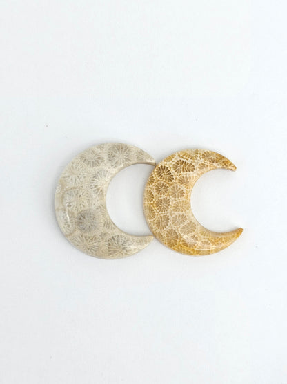 Fossilized Coral Moon Set