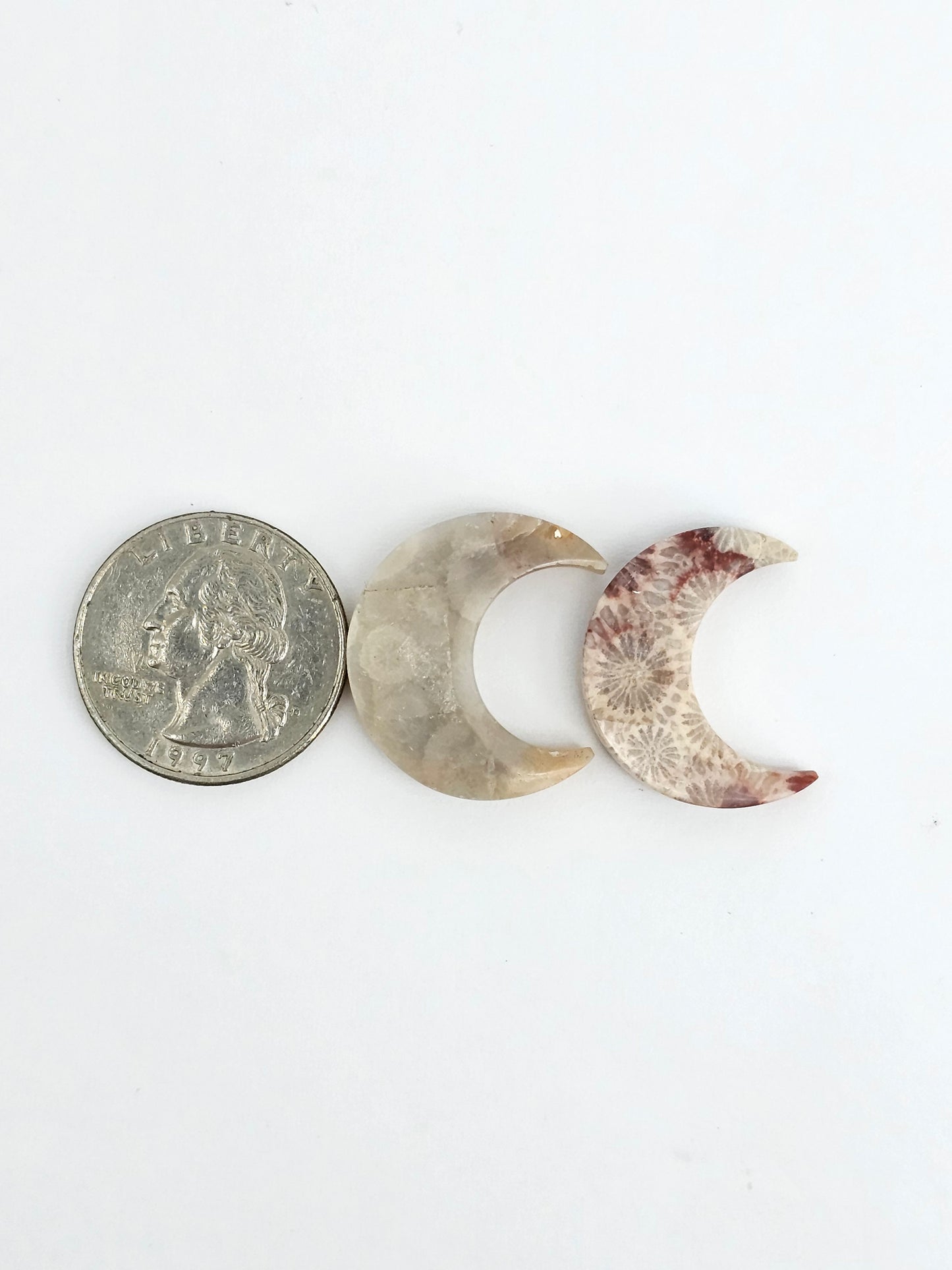 Fossilized Coral Moon Set