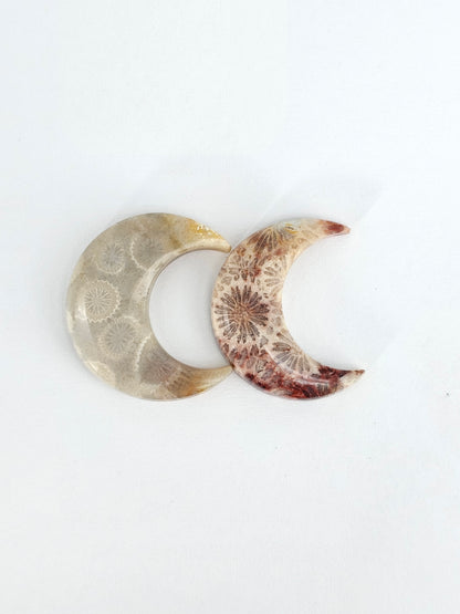 Fossilized Coral Moon Set