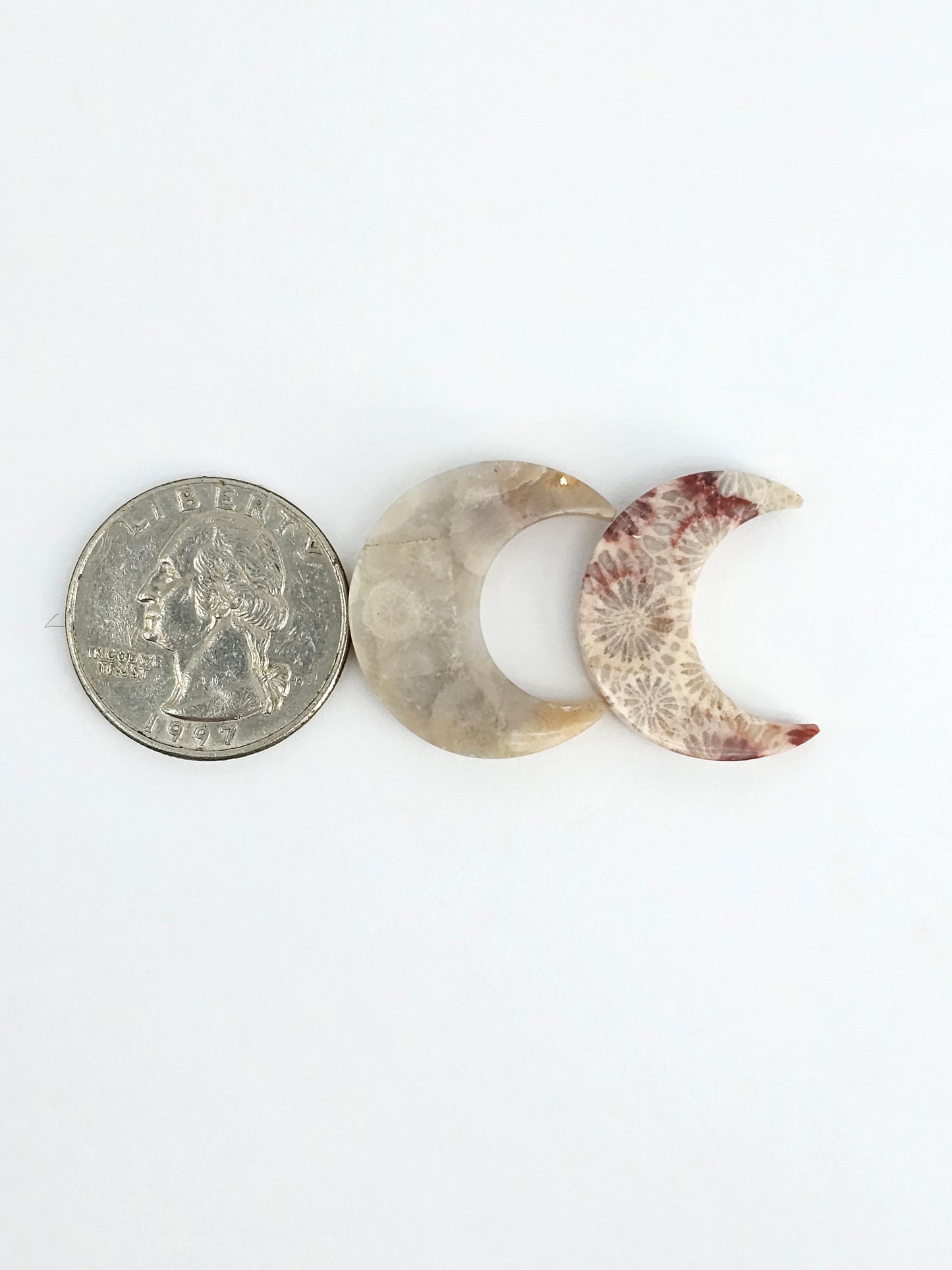 Fossilized Coral Moon Set