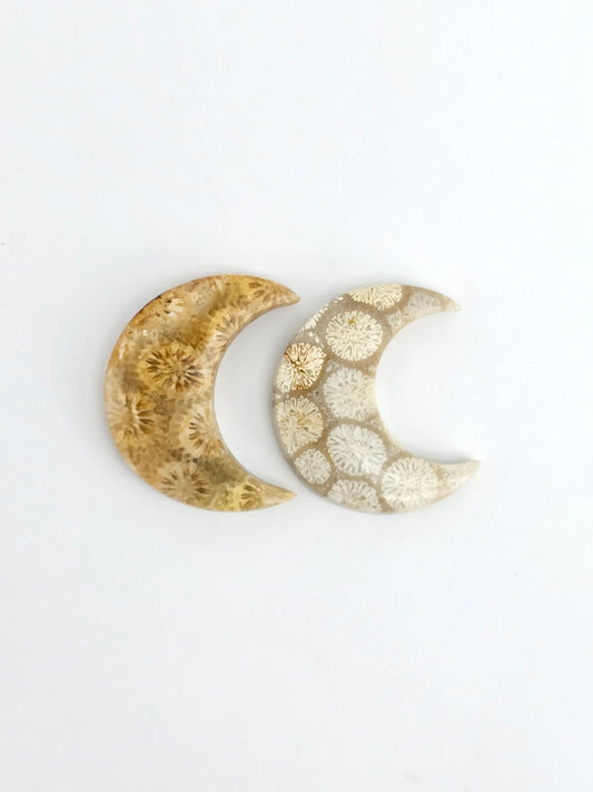 Fossilized Coral Moon Set