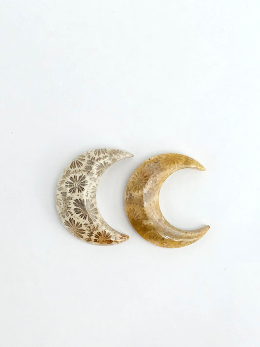 Fossilized Coral Moon Set