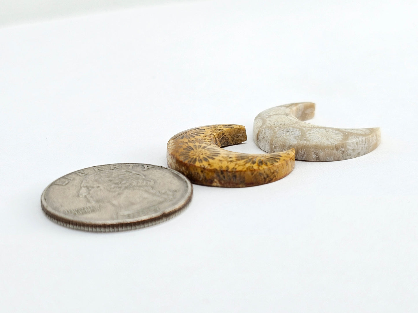 Fossilized Coral Moon Set
