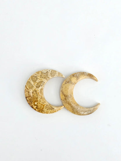 Fossilized Coral Moon Set
