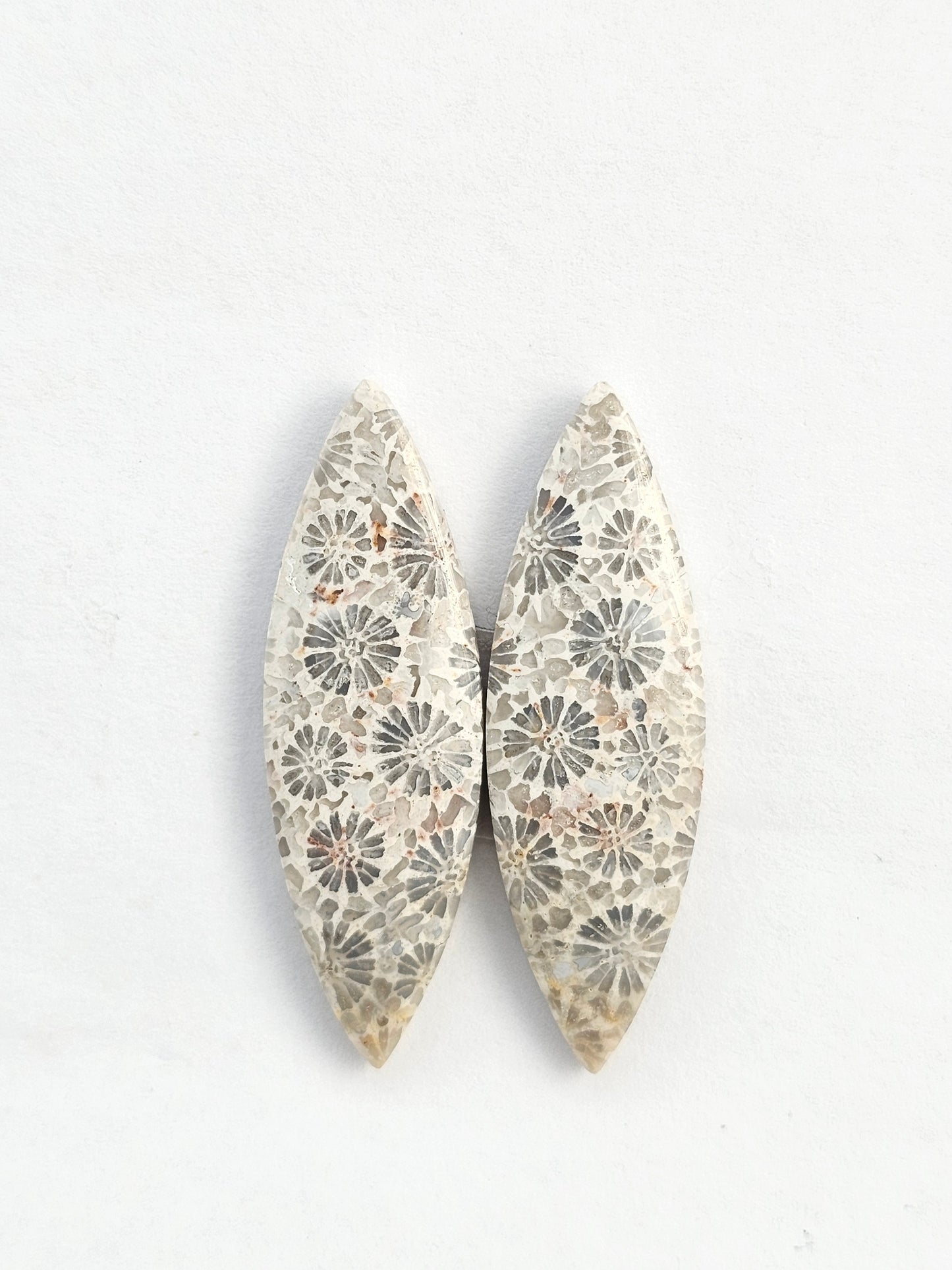 Fossilized Coral Agate Pair