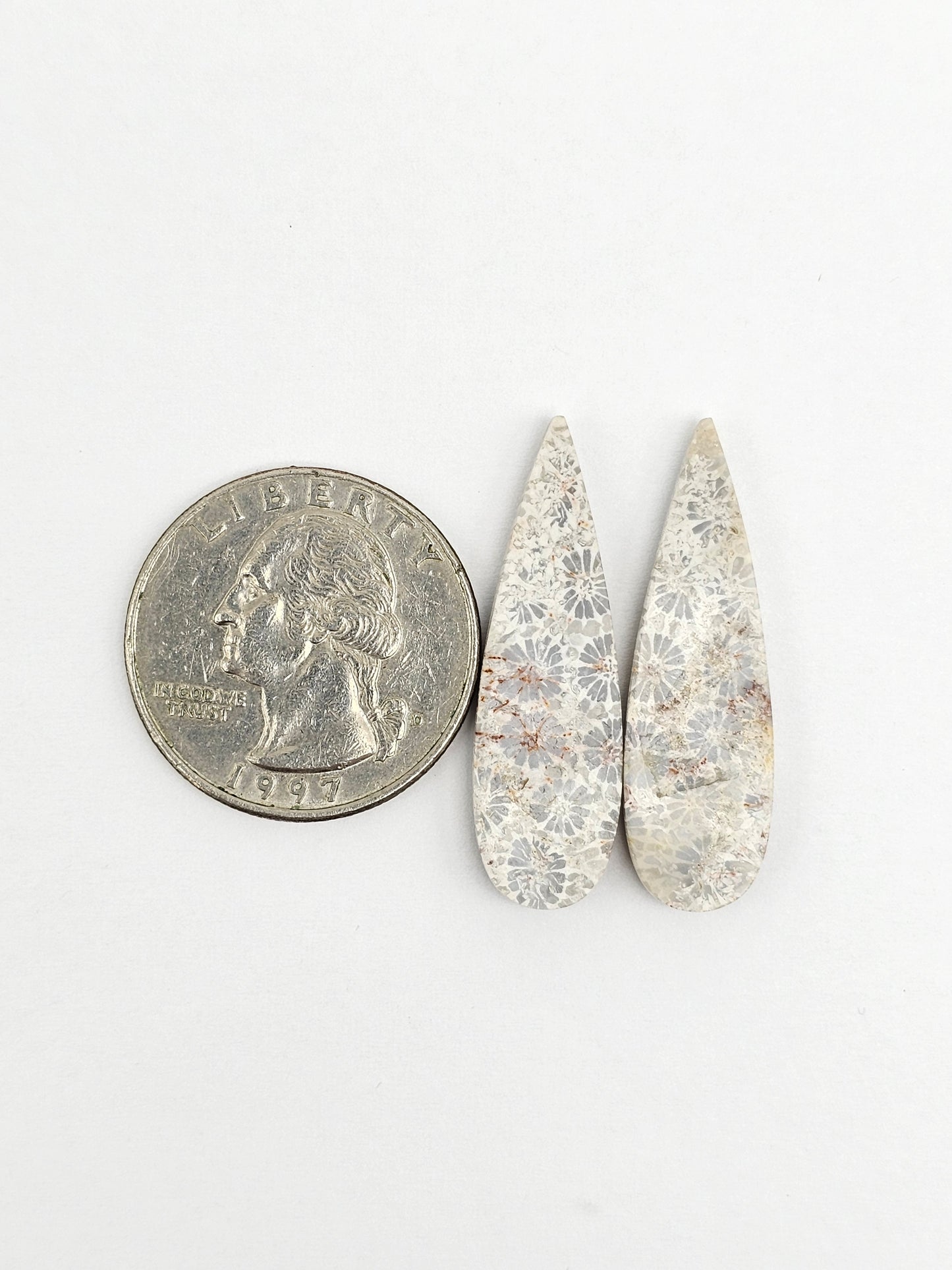 Fossilized Coral Agate Pair