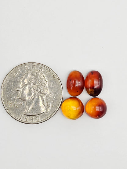 Red Amber Authentic Cabochon Pairs