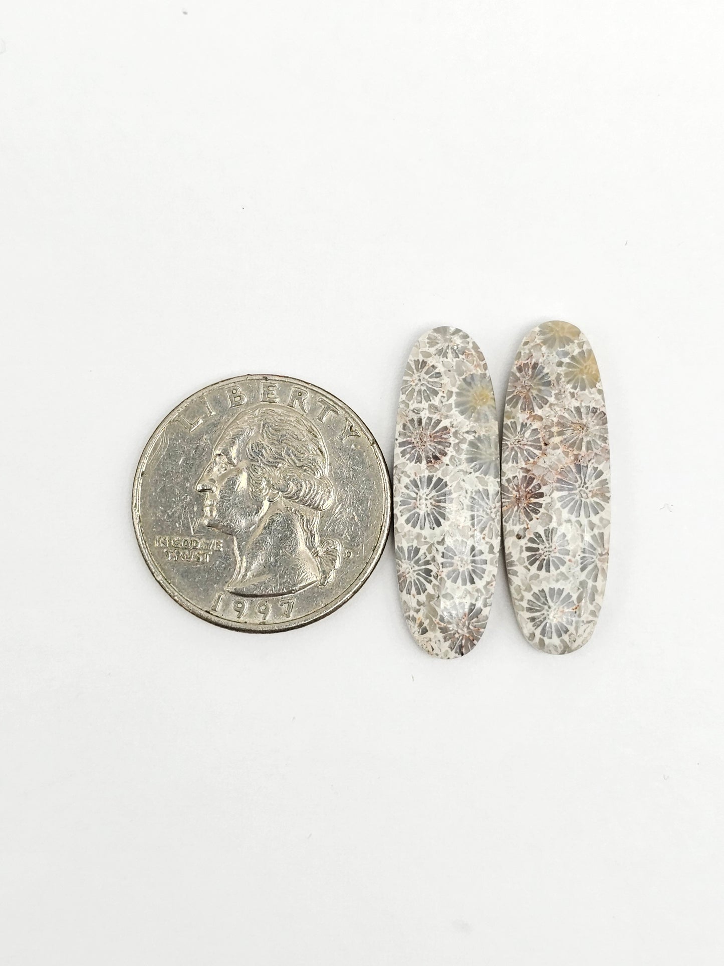 Fossilized Coral Agate Pair